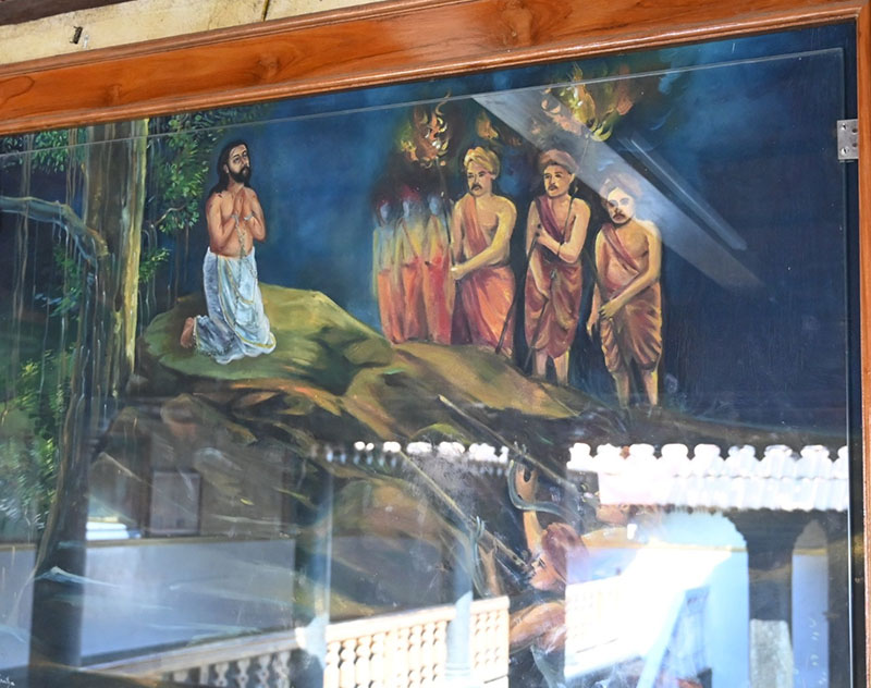 The Museum Gallery