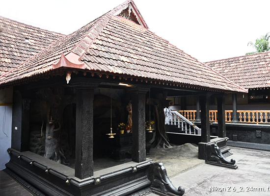 St. Devasahayam 1